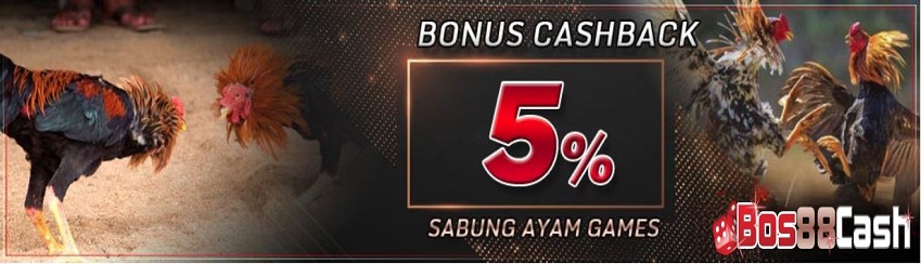 SABUNG AYAM